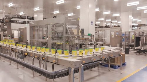 聯(lián)合利華全國(guó)首個(gè)全品類(lèi)食品工廠投產(chǎn)，智能制造與供應(yīng)鏈協(xié)同樹(shù)立新標(biāo)桿