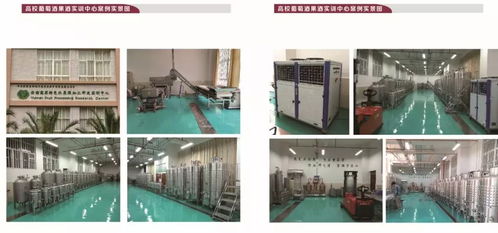 秦皇島博釀酒類技術服務有限責任公司邀您共赴2018上海果酒展