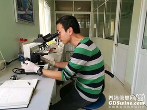 正典球苗技術服務團隊 專業力量走出國門，賦能全球客戶養殖新高度